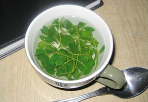 薄荷